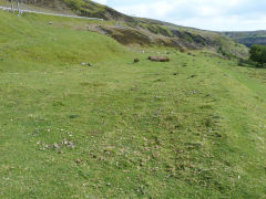 
Lower pond, Garnddyrys Forge, May 2012